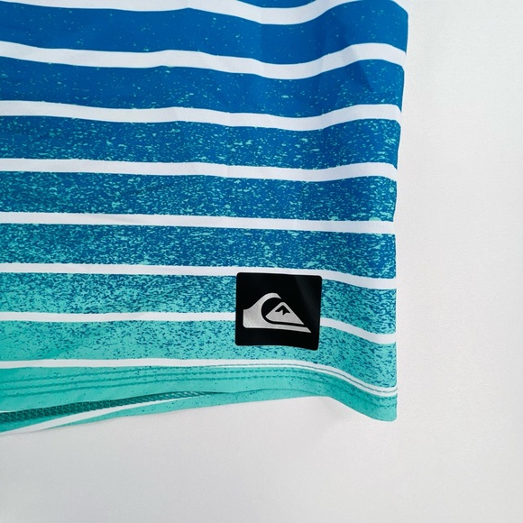 QUIKSILVER MENS SZ 34 BLUE STRIPED SURFING SWIMMING BOARD SHORTS - Picture 5 of 6